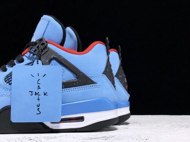 308497-406 Air Cactus Scott 4 Jordan x Travis Jack 0701
